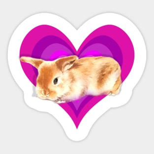 Super cute baby mini lop rabbit in a rainbow heart! Sticker